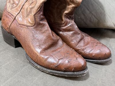 Dan Post Men's Genuine Ostrich Western Cowboy Boots - Brown, Size 8.5 D