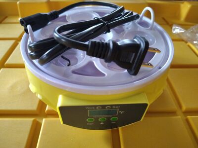 7-Egg Incubator 360° View Poultry Incubator with M