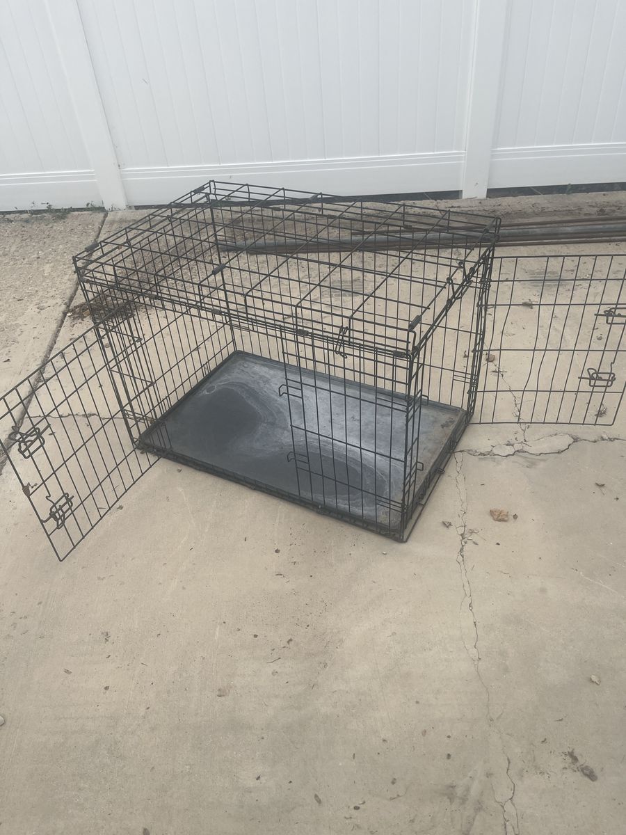 Dog kennel 