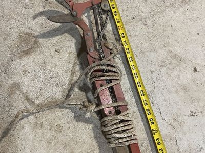 Old Pole Loppers