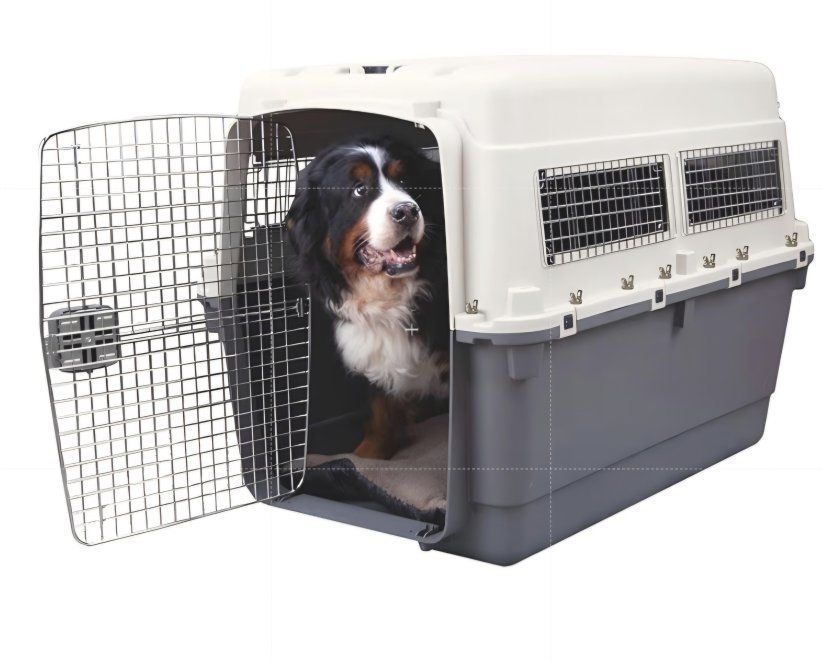 SportPet Airline Compliant XXX-LARGE 48" Travel Dog Kennel-Durable Plastic Airline Pet Carrier w/Removable Wheels & Food Bowls,