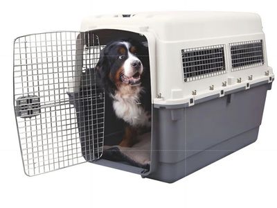 SportPet Airline Compliant XXX-LARGE 48" Travel Dog Kennel-Durable Plastic Airline Pet Carrier w/Removable Wheels & Food Bowls,