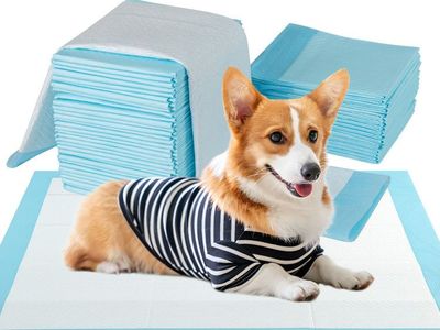 34” X 28” Pet/ Puppy Training Potty Pads/ 40ct- Brand New