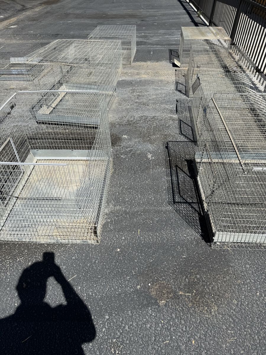 Free KW rabbit cages