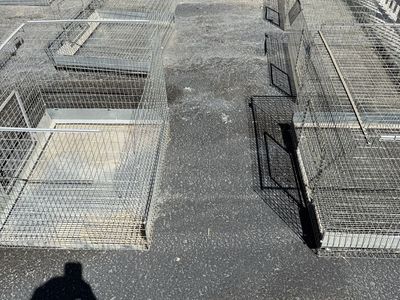 Free KW rabbit cages