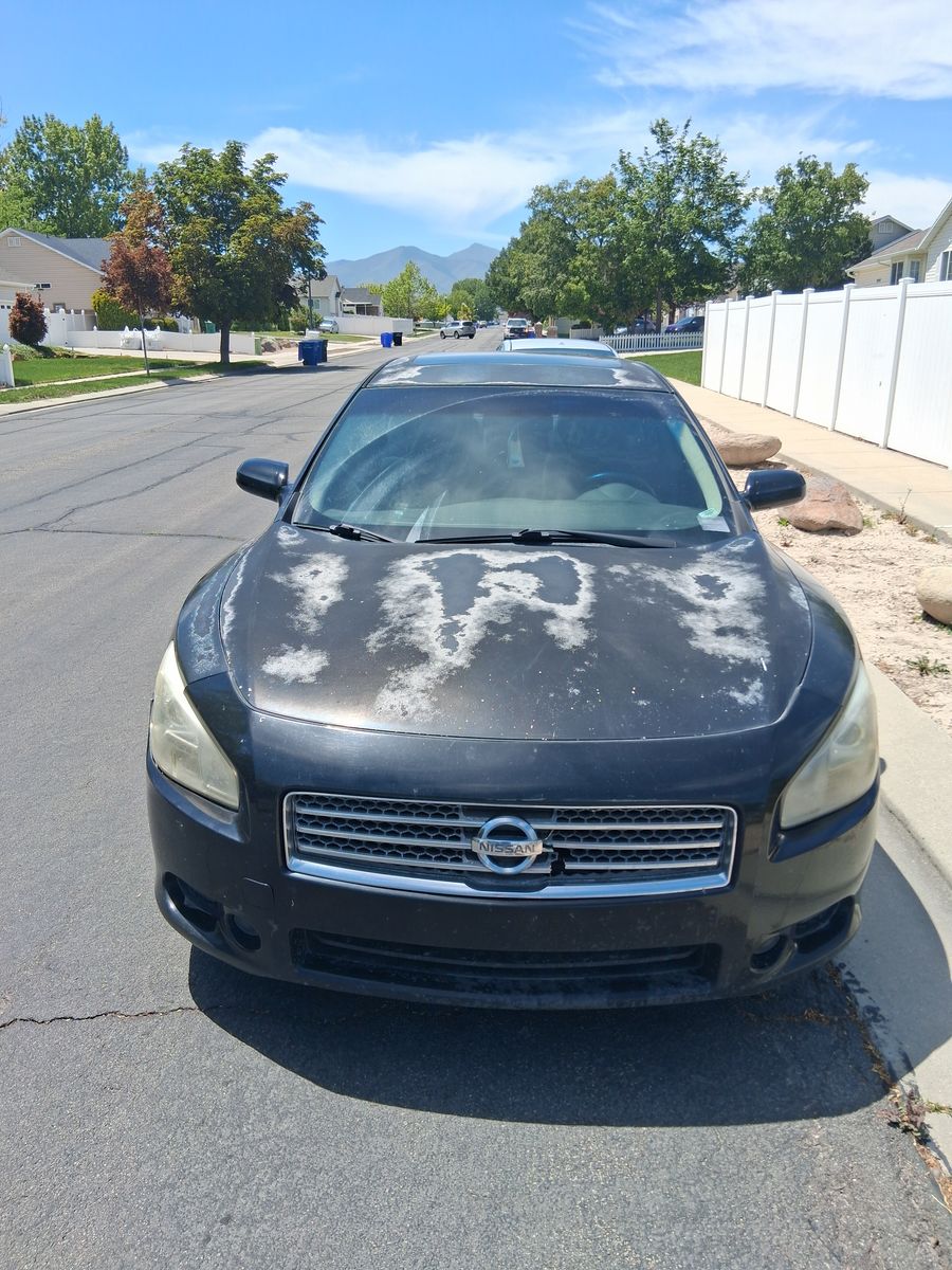 2010 Nissan Maxima 3.5 SV