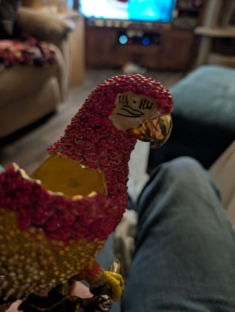 beautiful trinket holder parrot