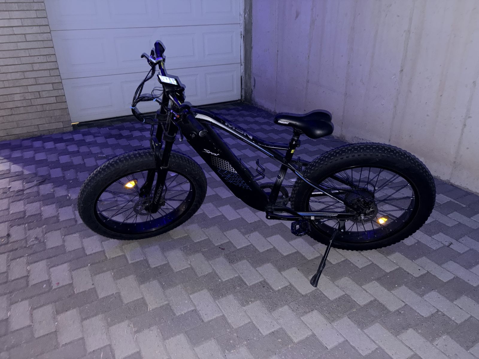 Freesky Electric Bike