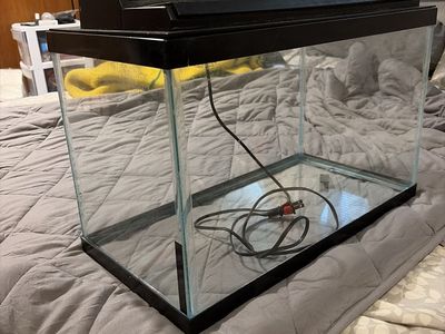 10 gallon Aquarium