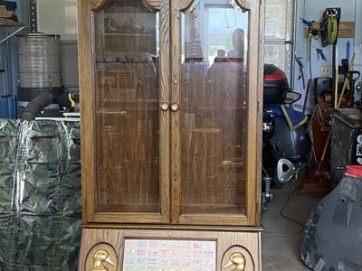 Ducks Unlimited Lighted Gun Display Cabinet