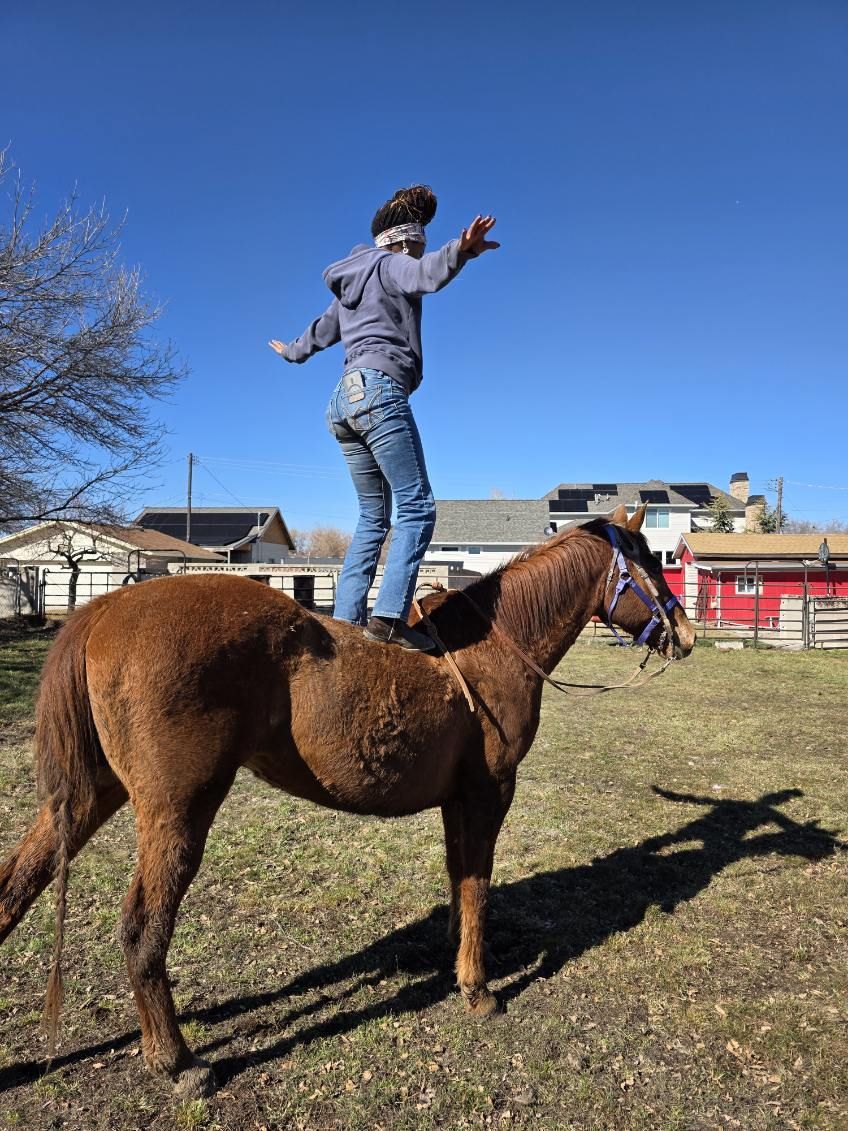 Kids/ Family horse
