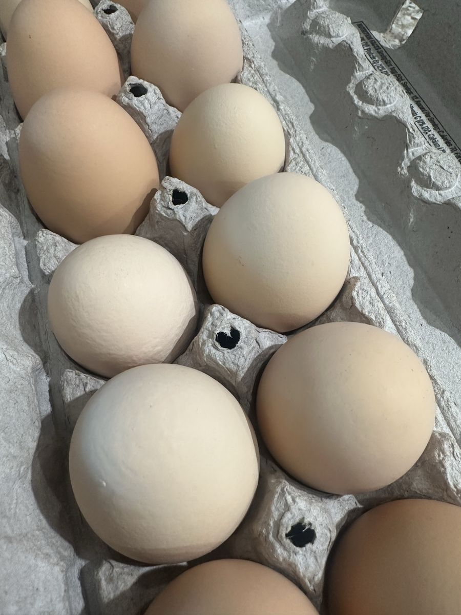 Farm Fresh Eggs