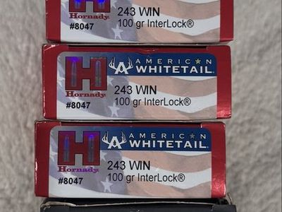 243 Winchester Factory ammo