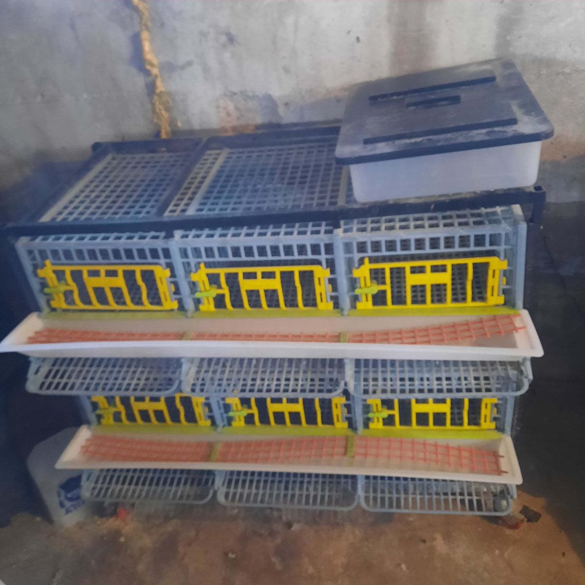 Used Hatching Time Quail Battery Cages - 6 Compartment 2 Layer Stackable Poultry Housing
