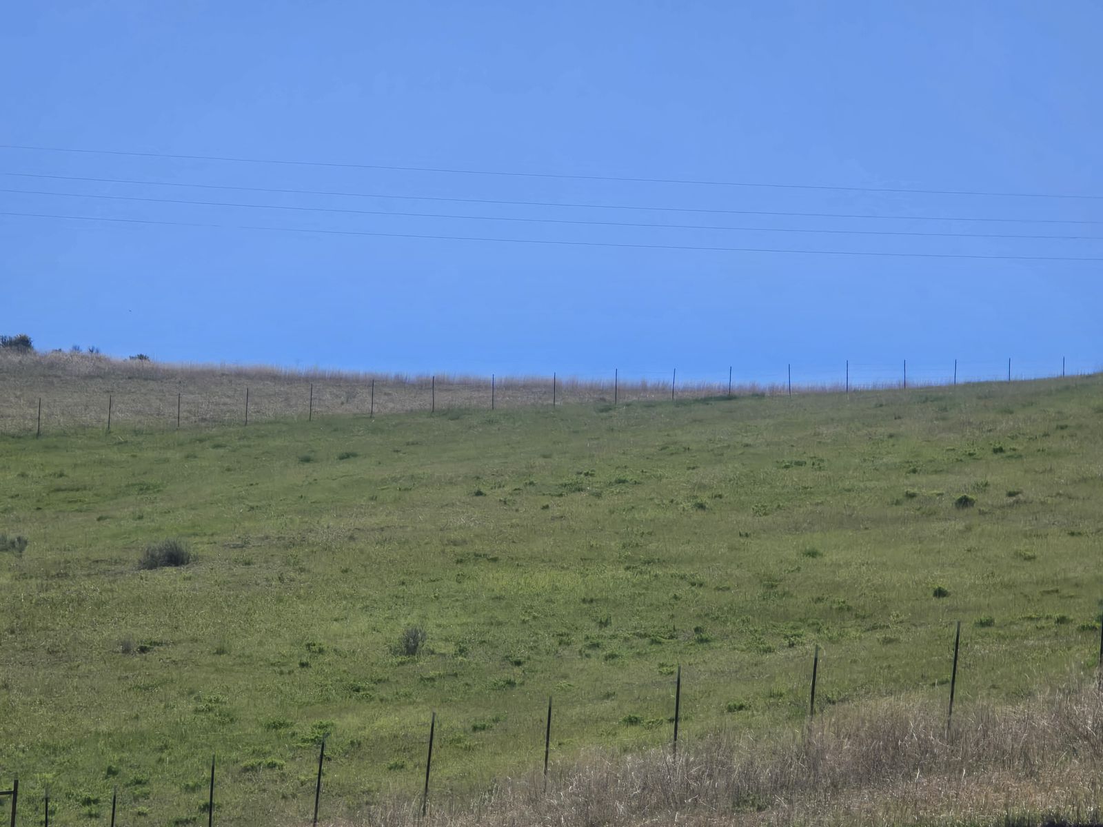 Main image 6