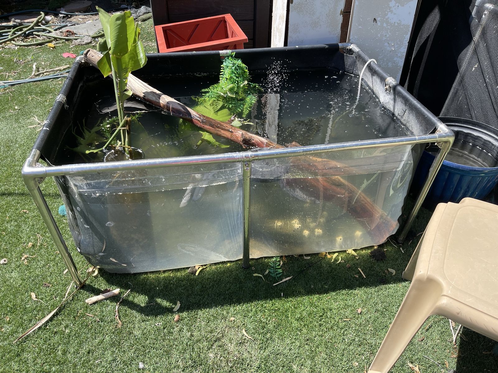 125 gallon pond