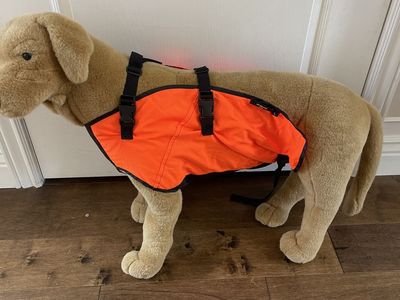 Sylmar Body Guard Vest for a Dog - Large Orange