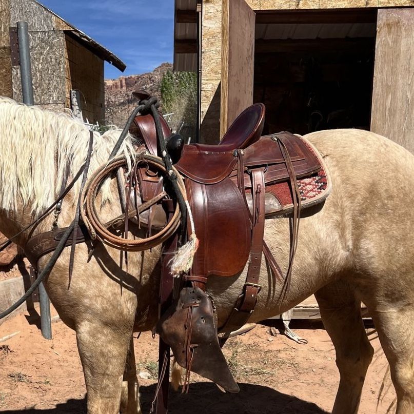 Saddle