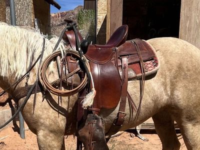 Saddle