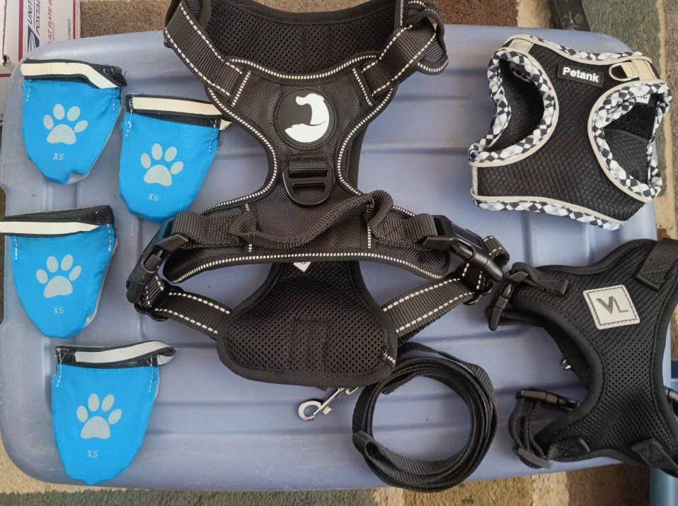 Brand New Pet Bundle - TrueLove Harness/Leash Set, Extra Harnesses & XS Booties