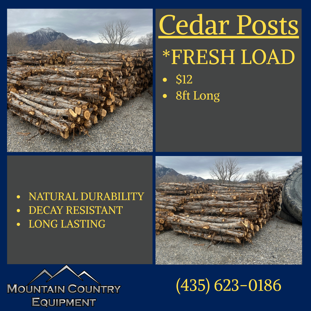 Cedar Posts
