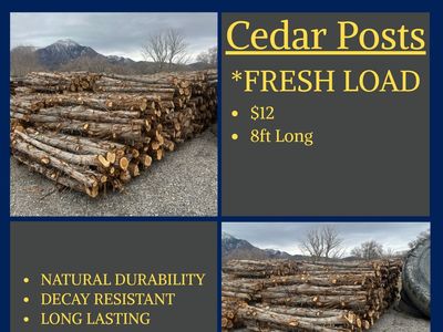 Cedar Posts