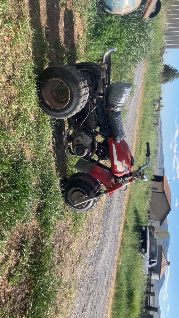 1984 Atc200s
