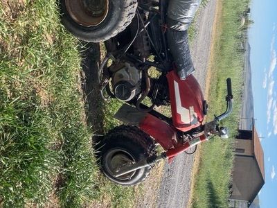 1984 Atc200s