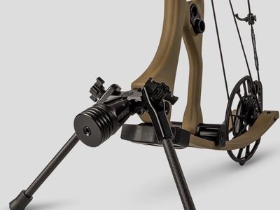 Hoyt Go-Stix 2.0