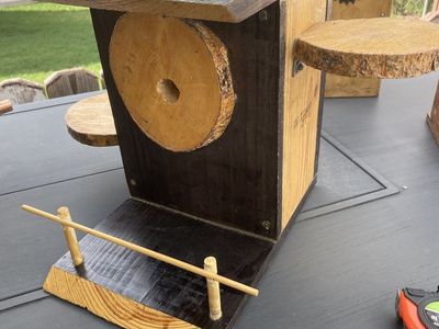 Custom bird house