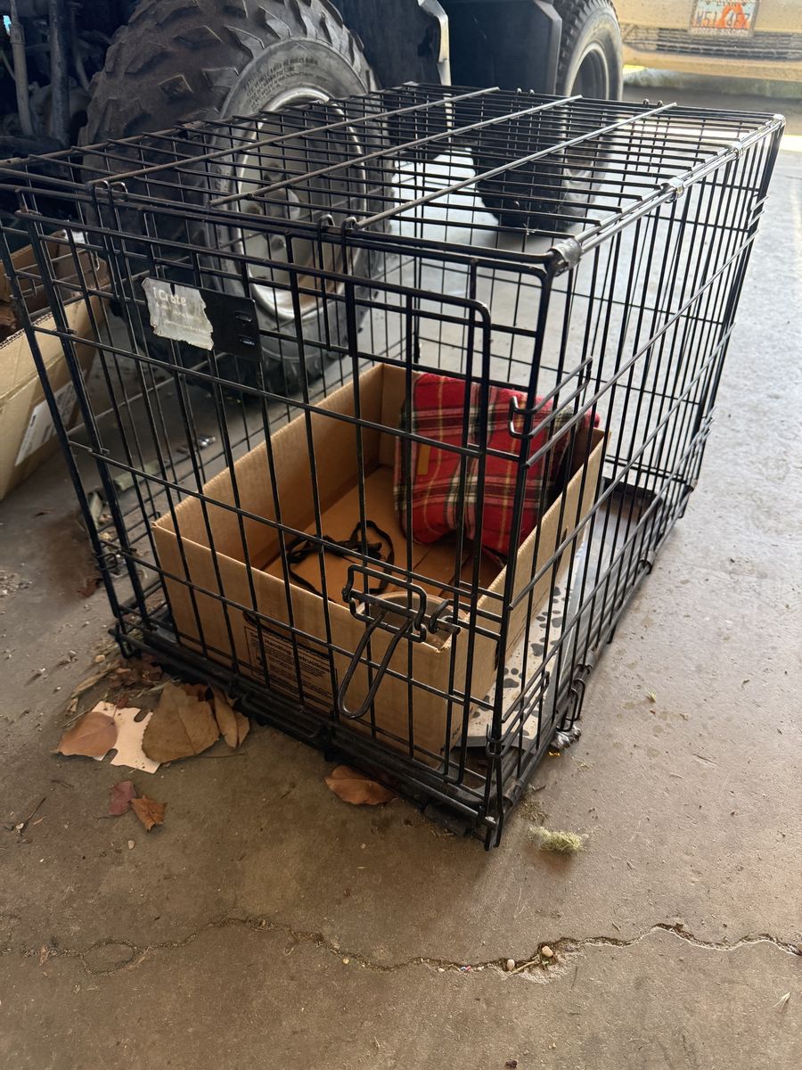 Medium-sized dog kennel