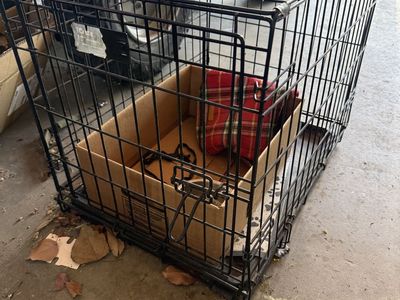 Medium-sized dog kennel