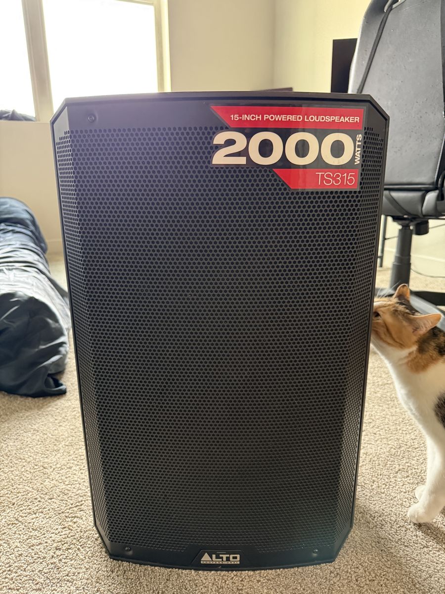 Alto Professional TS315 2000-Watt 15-Inch Powered Loudspeaker