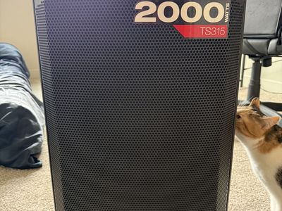 Alto Professional TS315 2000-Watt 15-Inch Powered Loudspeaker