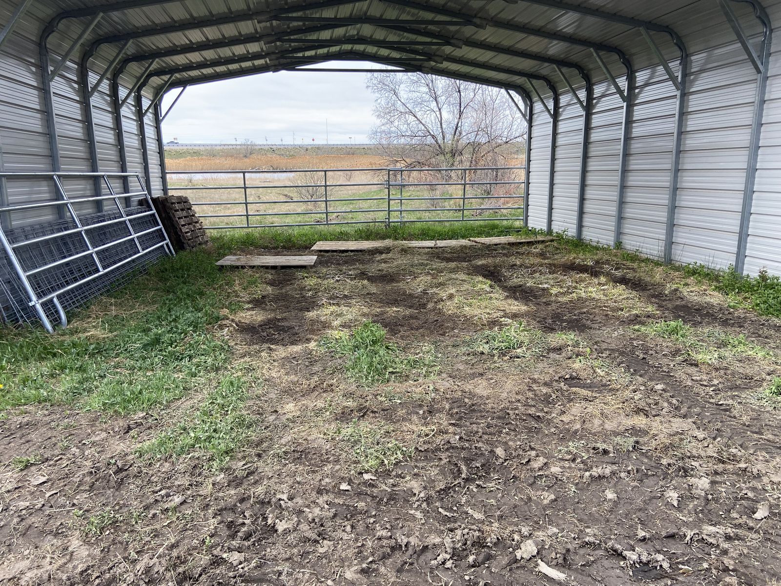 Metal  animal shelter