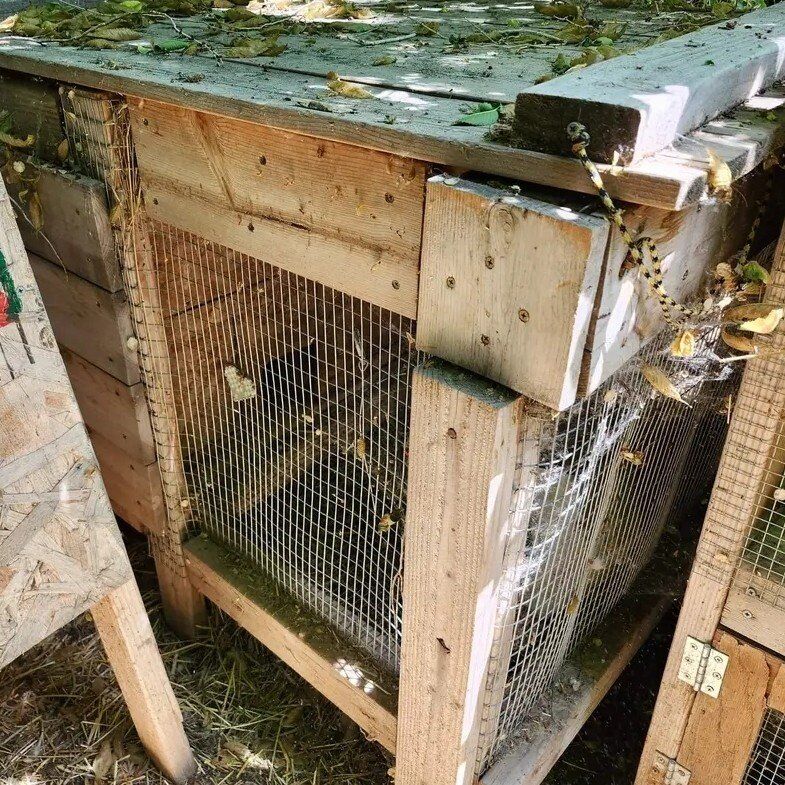 Wood board rabbit hutch