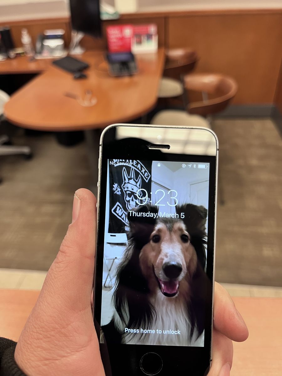 Original Barely used 1st Generation iPhone SE