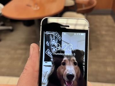 Original Barely used 1st Generation iPhone SE