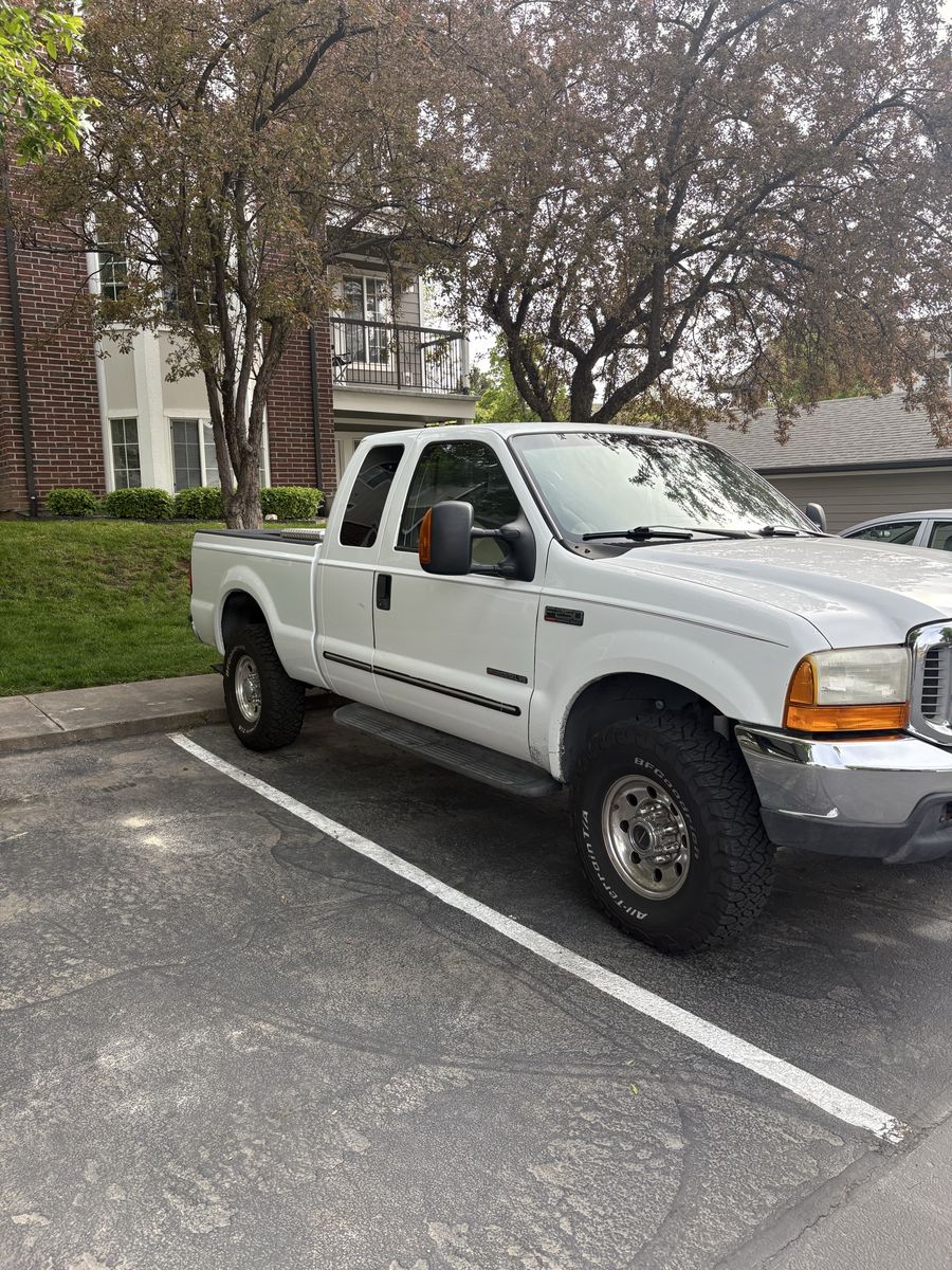 Main image 6