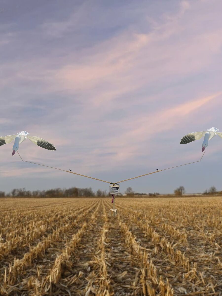 Snow Goose Rotary Machines, Socks, Silhouettes, Full Body Decoys
