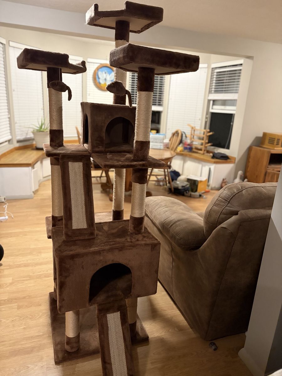 New cat tower