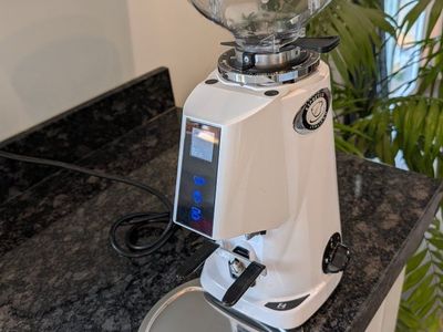 Fiorenzato F4 E Espresso Coffee Grinder - Made in Italy, Electric 110-120V, White