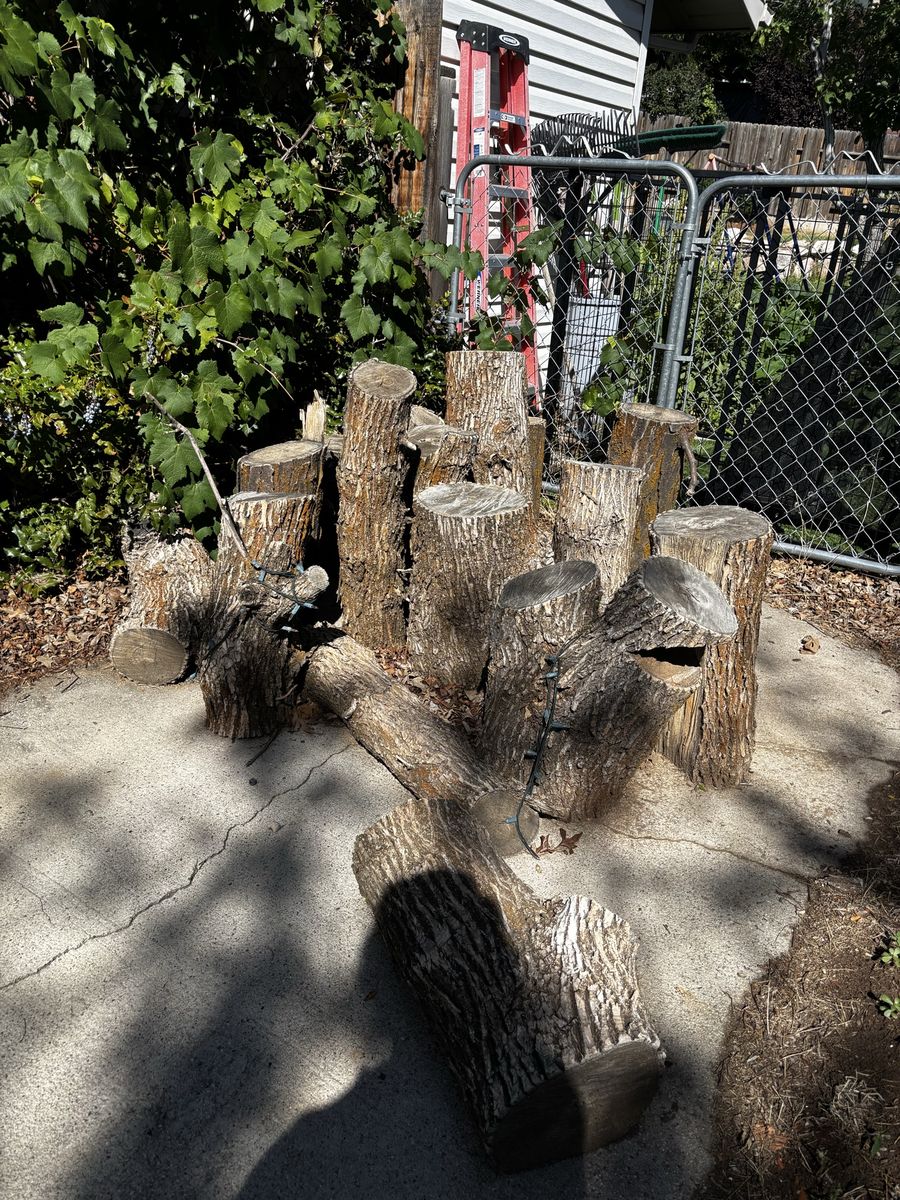 Firewood Logs and Metal Firewood Stand