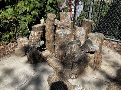 Firewood Logs and Metal Firewood Stand