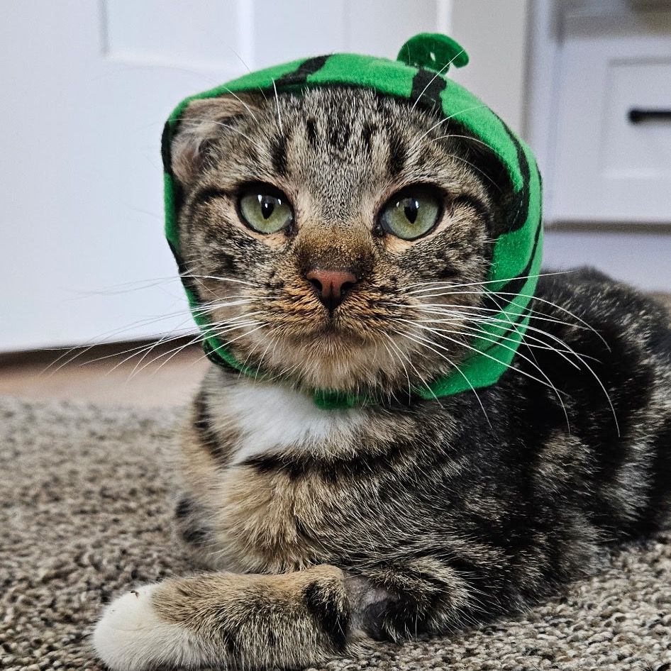 Hello my name is Patsy