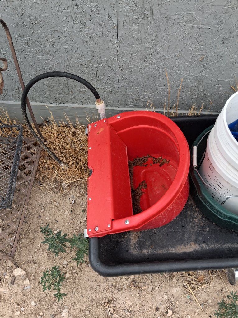 Automatic Livestock Water Bowl