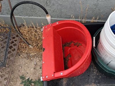 Automatic Livestock Water Bowl