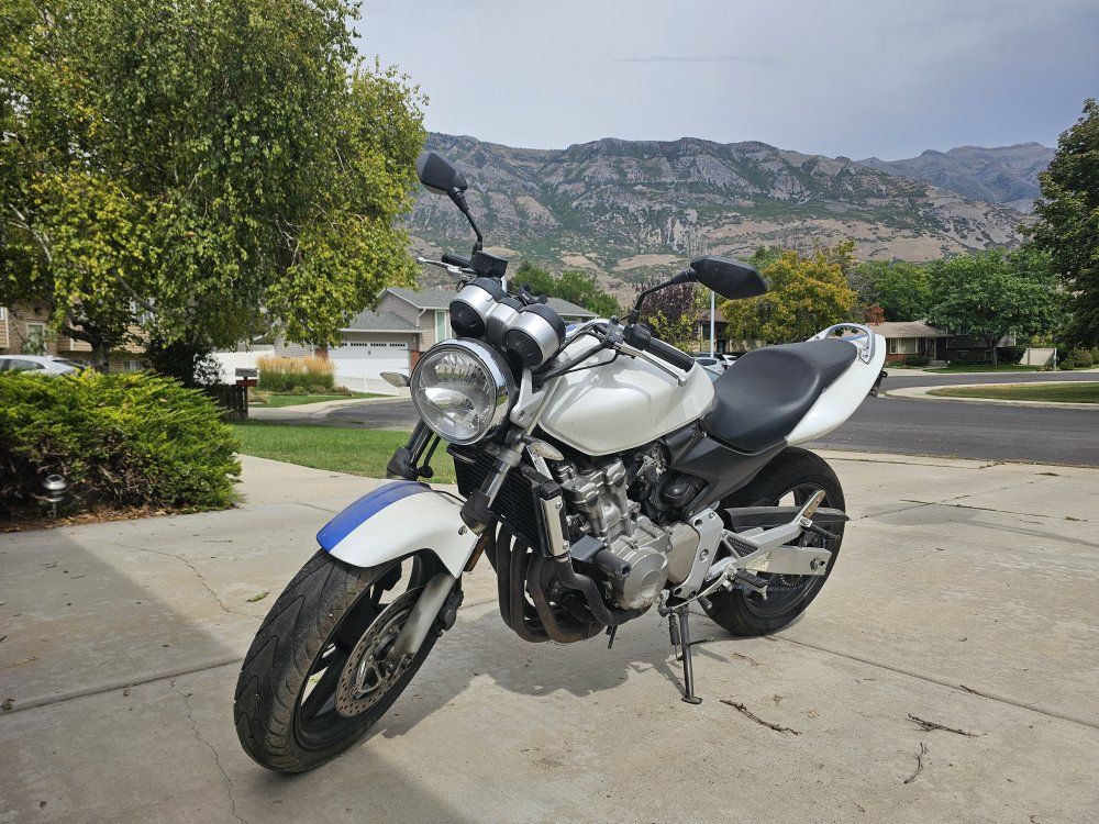Honda Hornet 600 - White/Blue