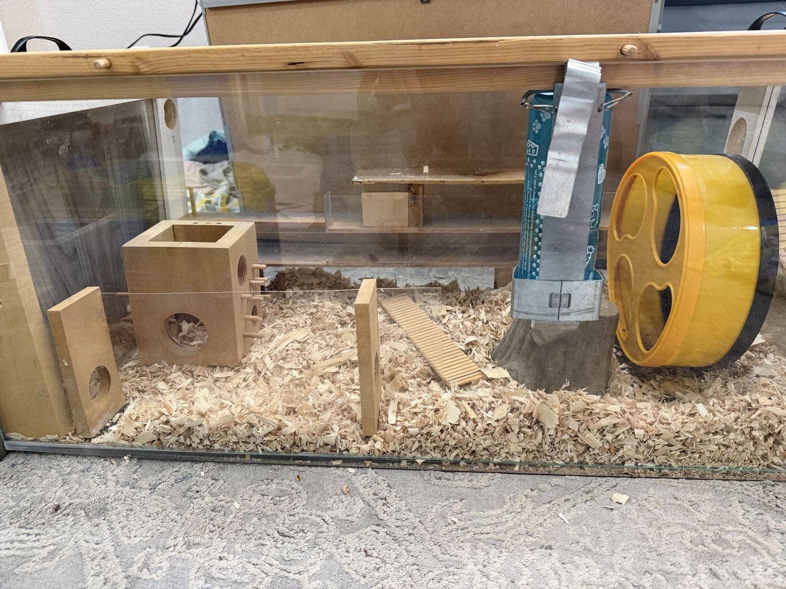 Main image 6