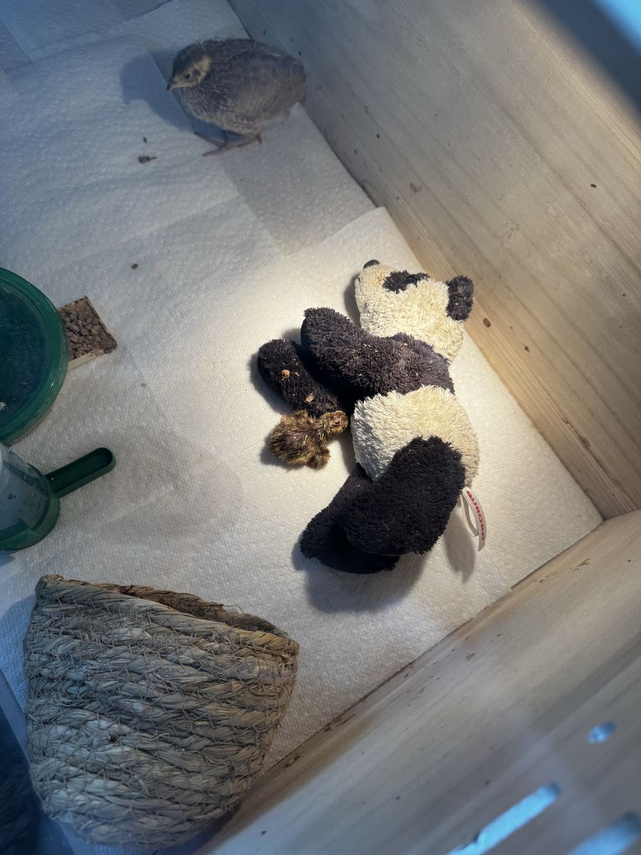 Main image 4